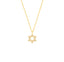 Diamond Star of David Necklace