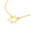 Mini Star of David Necklace