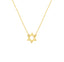 Mini Star of David Necklace